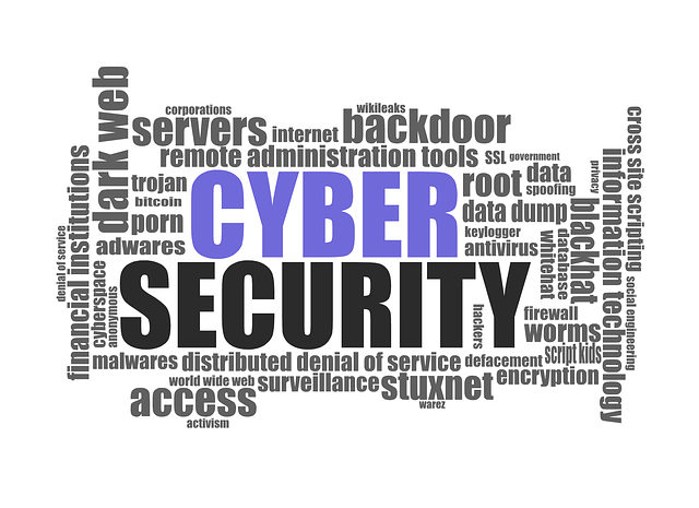 cyber security 1784985 640